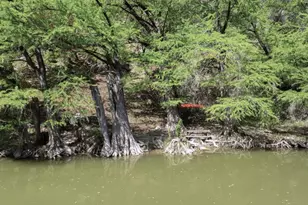 172 Bluff Trail, Dripping Springs, TX 78620 - Photo 18