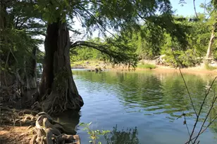 172 Bluff Trail, Dripping Springs, TX 78620 - Photo 14