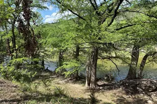 172 Bluff Trail, Dripping Springs, TX 78620 - Photo 4