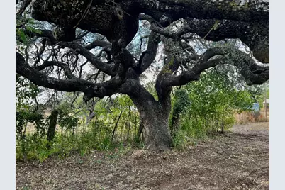 305 N Hall Street, Richland Springs, TX 78643 - Photo 36