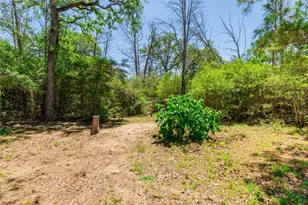 224 Pine Valley Dr, Paige, TX 78659 - Photo 28