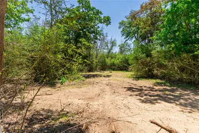 224 Pine Valley Drive, Paige, TX 78659 - Photo 30
