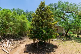 224 Pine Valley Dr, Paige, TX 78659 - Photo 16