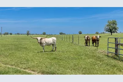 605 Fm 1682, Leesville, TX 78122 - Photo 26