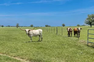 605 Fm 1682, Leesville, TX 78122 - Photo 26