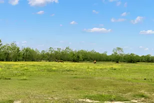 6483 Jade Ave, Port Arthur, TX 77640 - Photo 6