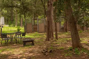 200 Arrowhead Dr, Smithville, TX 78957 - Photo 6