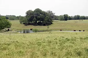 319 R C Ln, Lockhart, TX 78644 - Photo 1