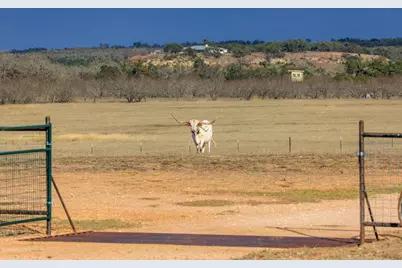 888 Dietrich Road, Fredericksburg, TX 78624 - Photo 22