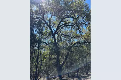 37 Heathrow Lane, Wimberley, TX 78676 - Photo 6