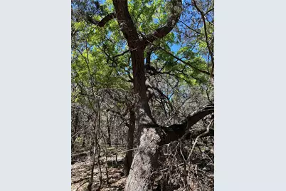 37 Heathrow Lane, Wimberley, TX 78676 - Photo 2