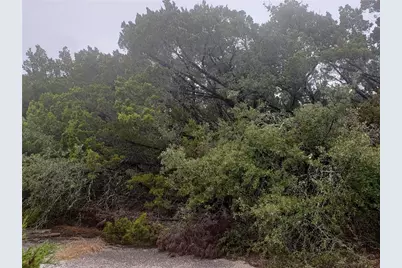 20204 Lansing Cove, Lago Vista, TX 78645 - Photo 22