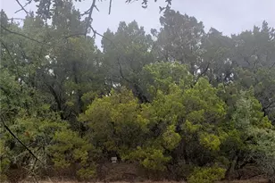 20204 Lansing Cove, Lago Vista, TX 78645 - Photo 1