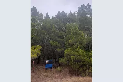 20204 Lansing Cove, Lago Vista, TX 78645 - Photo 2