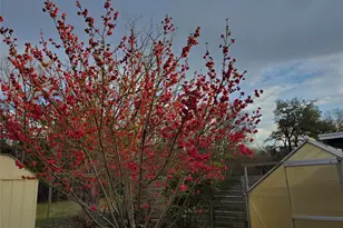 12309 Danny Dr, Austin, TX 78759 - Photo 22