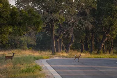 Lot 103 Tuscany Drive, Driftwood, TX 78619 - Photo 12