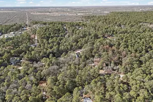 159 Molokini Dr, Bastrop, TX 78602 - Photo 28