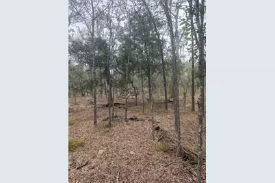 298 Riverside Drive, Bastrop, TX 78602 - Photo 2