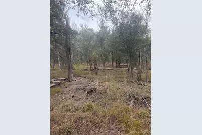 298 Riverside Drive, Bastrop, TX 78602 - Photo 4