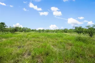 925 N 1st St, Jarrell, TX 76537 - Photo 4