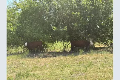 Tbd 10.04 Ac County Road 413, Thorndale, TX 76577 - Photo 4
