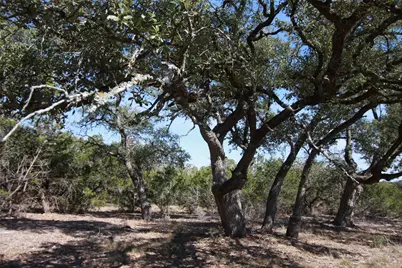 150 Patricks Way, Dripping Springs, TX 78620 - Photo 32