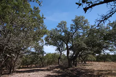 150 Patricks Way, Dripping Springs, TX 78620 - Photo 30