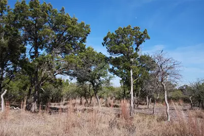 150 Patricks Way, Dripping Springs, TX 78620 - Photo 34