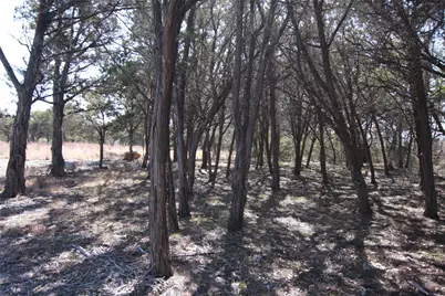 150 Patricks Way, Dripping Springs, TX 78620 - Photo 28