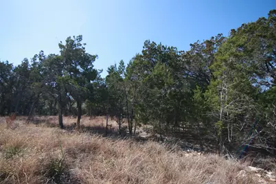 150 Patricks Way, Dripping Springs, TX 78620 - Photo 20