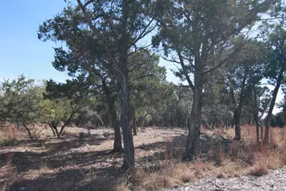 150 Patricks Way, Dripping Springs, TX 78620 - Photo 18