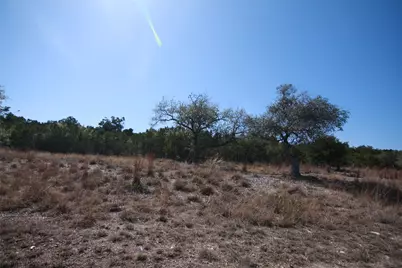 150 Patricks Way, Dripping Springs, TX 78620 - Photo 10