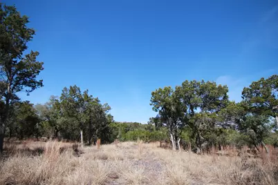 150 Patricks Way, Dripping Springs, TX 78620 - Photo 24