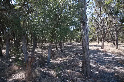 150 Patricks Way, Dripping Springs, TX 78620 - Photo 4