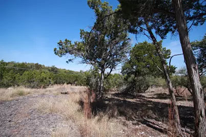 150 Patricks Way, Dripping Springs, TX 78620 - Photo 22