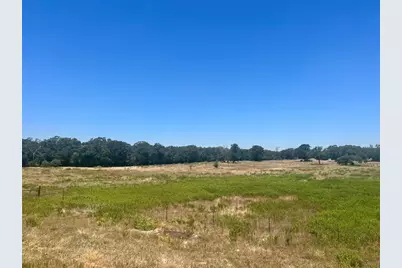 2542 County Road 306, Lexington, TX 78947 - Photo 4