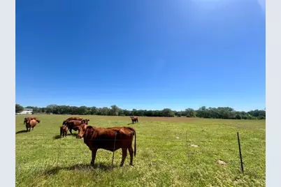 2542 County Road 306, Lexington, TX 78947 - Photo 6