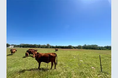 2542 County Road 306, Lexington, TX 78947 - Photo 6