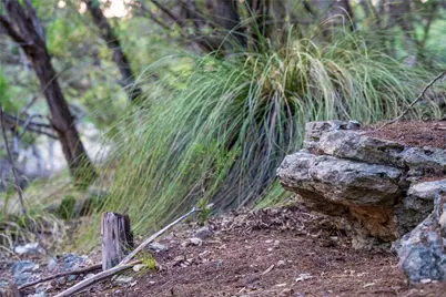 8144 Lake Mountain Lane, Leander, TX 78641 - Photo 14