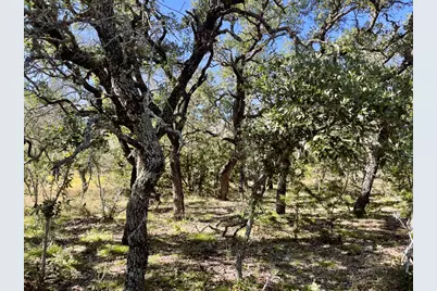 1276 Fm 574 W, Mullin, TX 76864 - Photo 2