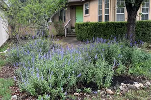 16 E Villa Meadow St, Wimberley, TX 78676 - Photo 1