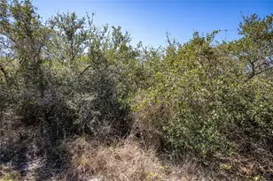 Blk A Tr 13 Rhodes Ave, Aransas Pass, TX 78368 - Photo 36