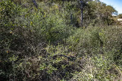 Blk A Tr 13 Rhodes Avenue, Aransas Pass, TX 78368 - Photo 34