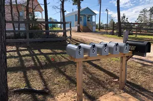 110 Pine Tree Loop, Bastrop, TX 78602 - Photo 8