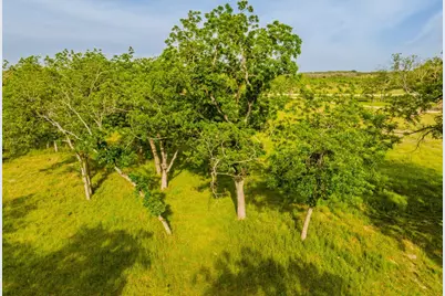 000 The Reserve At 290 Highway, Johnson City, TX 78638 - Photo 8