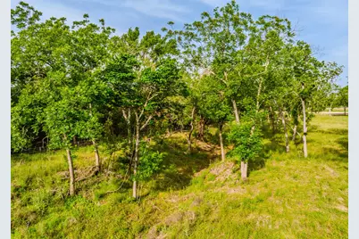 000 The Reserve At 290 Highway, Johnson City, TX 78636 - Photo 16
