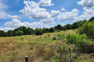 505 Chisum Trail, Burnet, TX 78611 - Photo 32