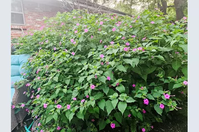 3618 Quiette Drive, Austin, TX 78754 - Photo 34