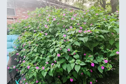 3618 Quiette Drive, Austin, TX 78754 - Photo 28