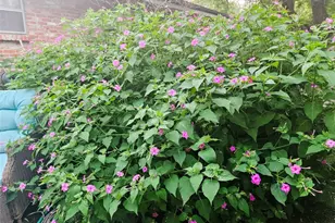 3618 Quiette Dr, Austin, TX 78754 - Photo 28